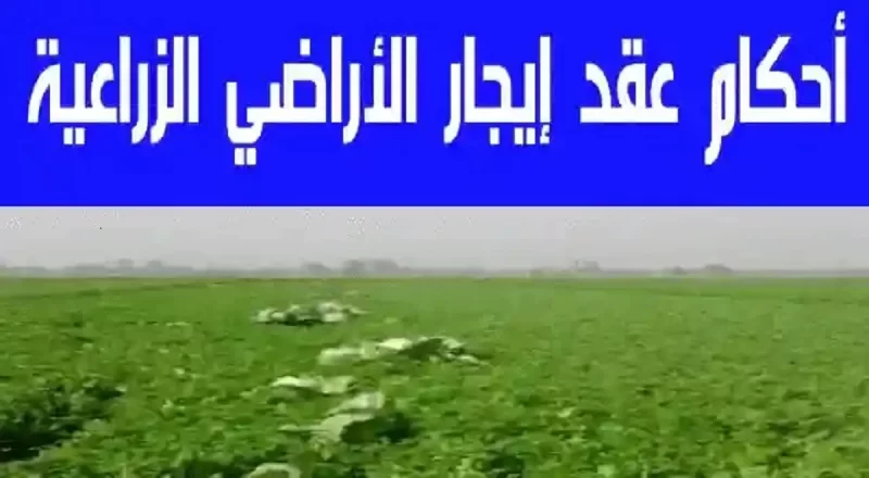 أحكام عقد إيجار الأراضي الزراعية أحكام عقد إيجار الأراضي الزراعية