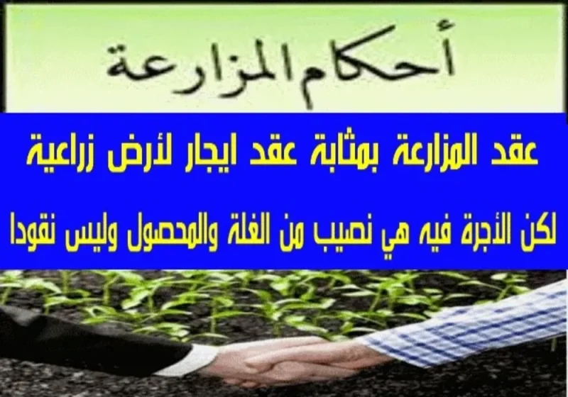 عقد المزارعة أحكامه وطبيعته ومدته فى القانون المدنى عقد المزارعة