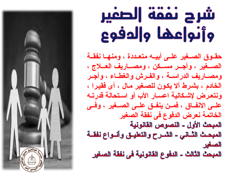 نفقة الصغير في القانون المصري وأنواعها والدفوع القانونية