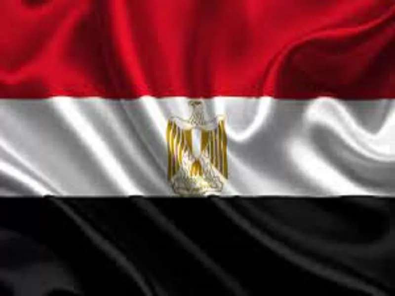 شركات المقاولات في مصر
