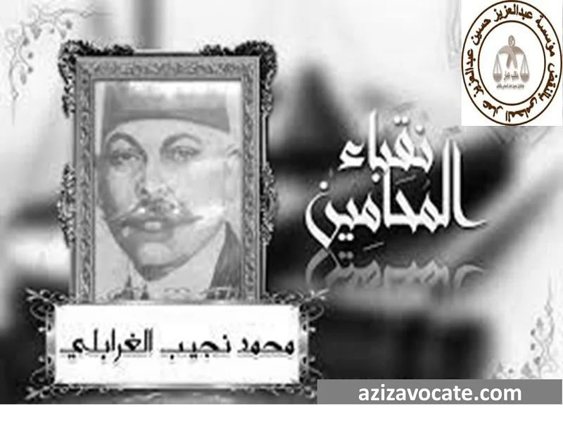 محامين - صياغة وكتابة الدعاوي