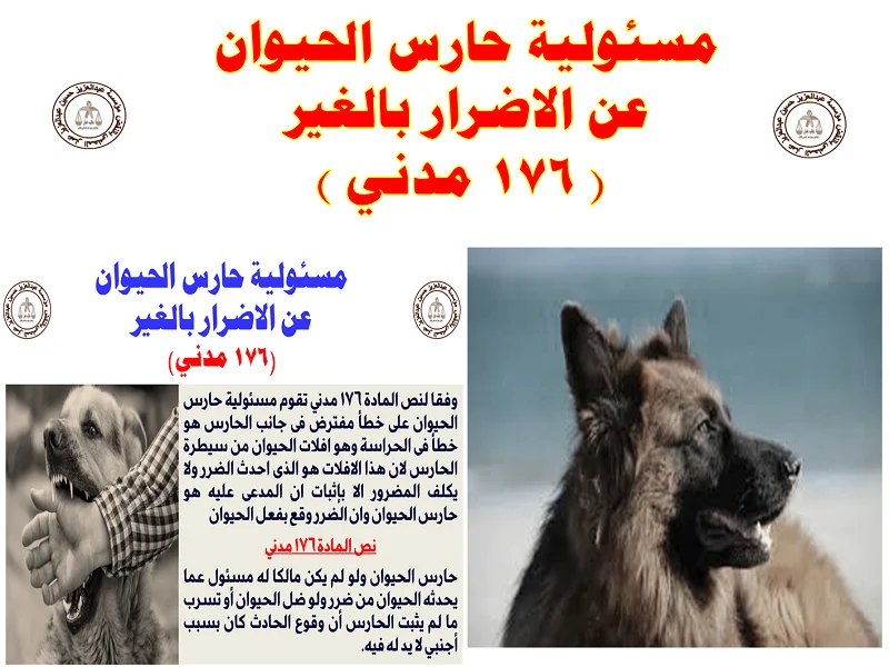 مسئولية حارس الحيوان والاضرار 