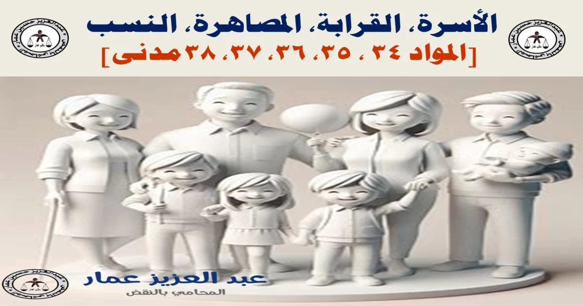 الأسرة، القرابة، المصاهرة، النسب